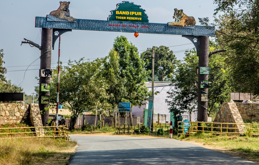 Bandipur National Park
